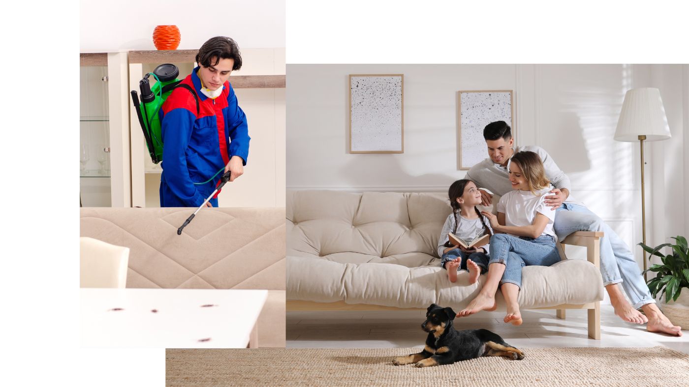 theme builder 0syiNK6Mv8j7hQf4